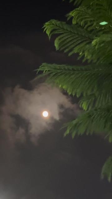 @Itisdeepa