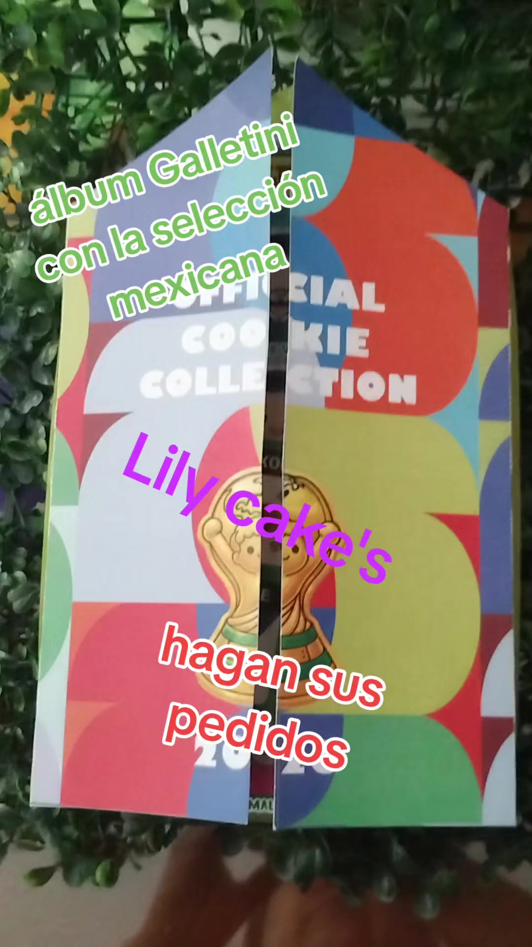 @lily cakes