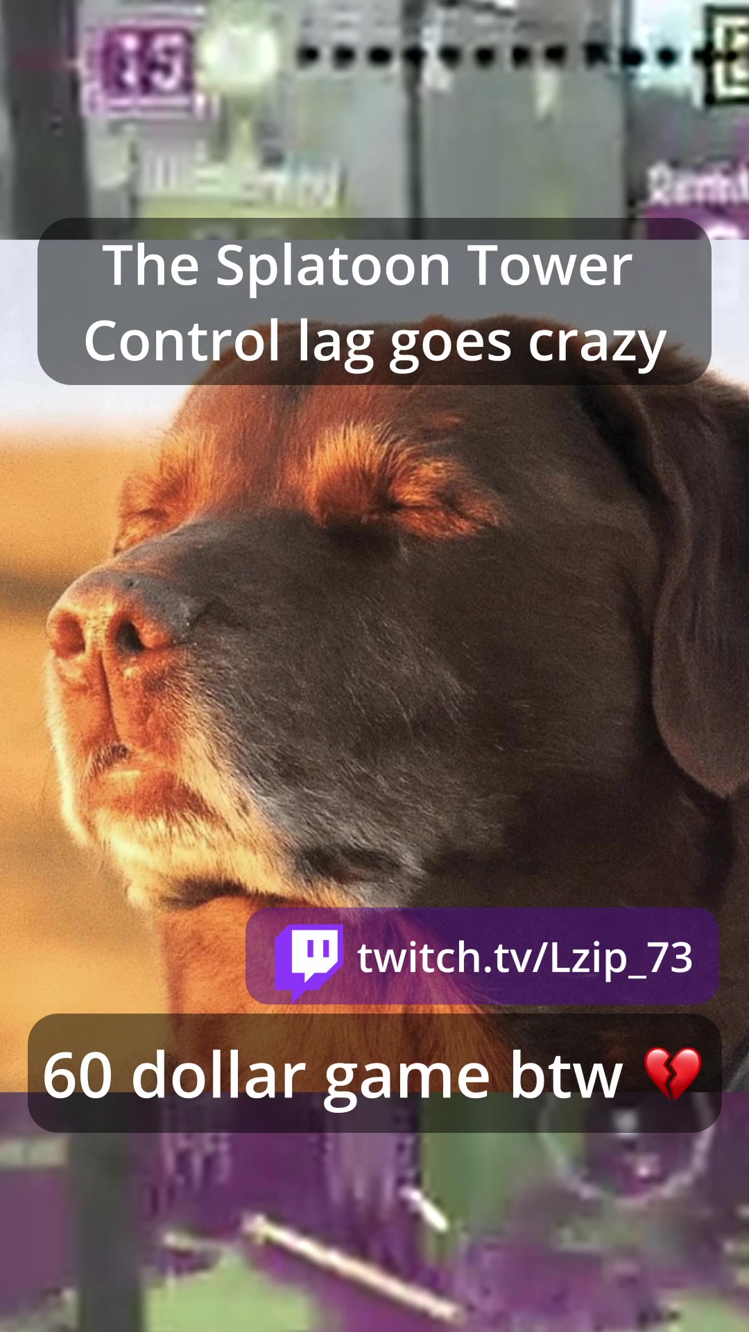 @lzip_73