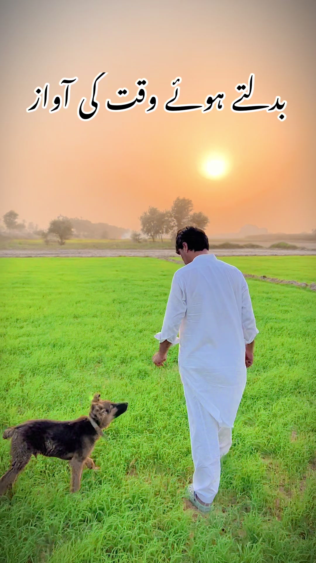 @سردارشہزاداحمدڈوگرايڈوکيٹ ⚖️