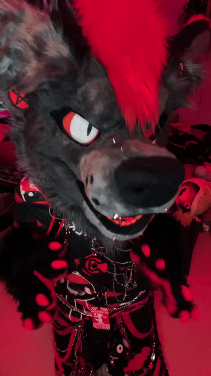@𖤐 ʙʟᴠᴅʜᴠɴᴅ ៸៸ ⁺‧₊ 🥩🐾 .ᐟ.ᐟ