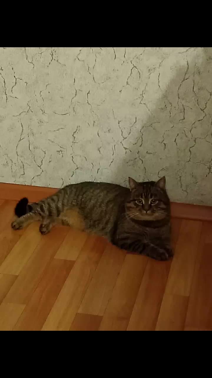 @Vladimir