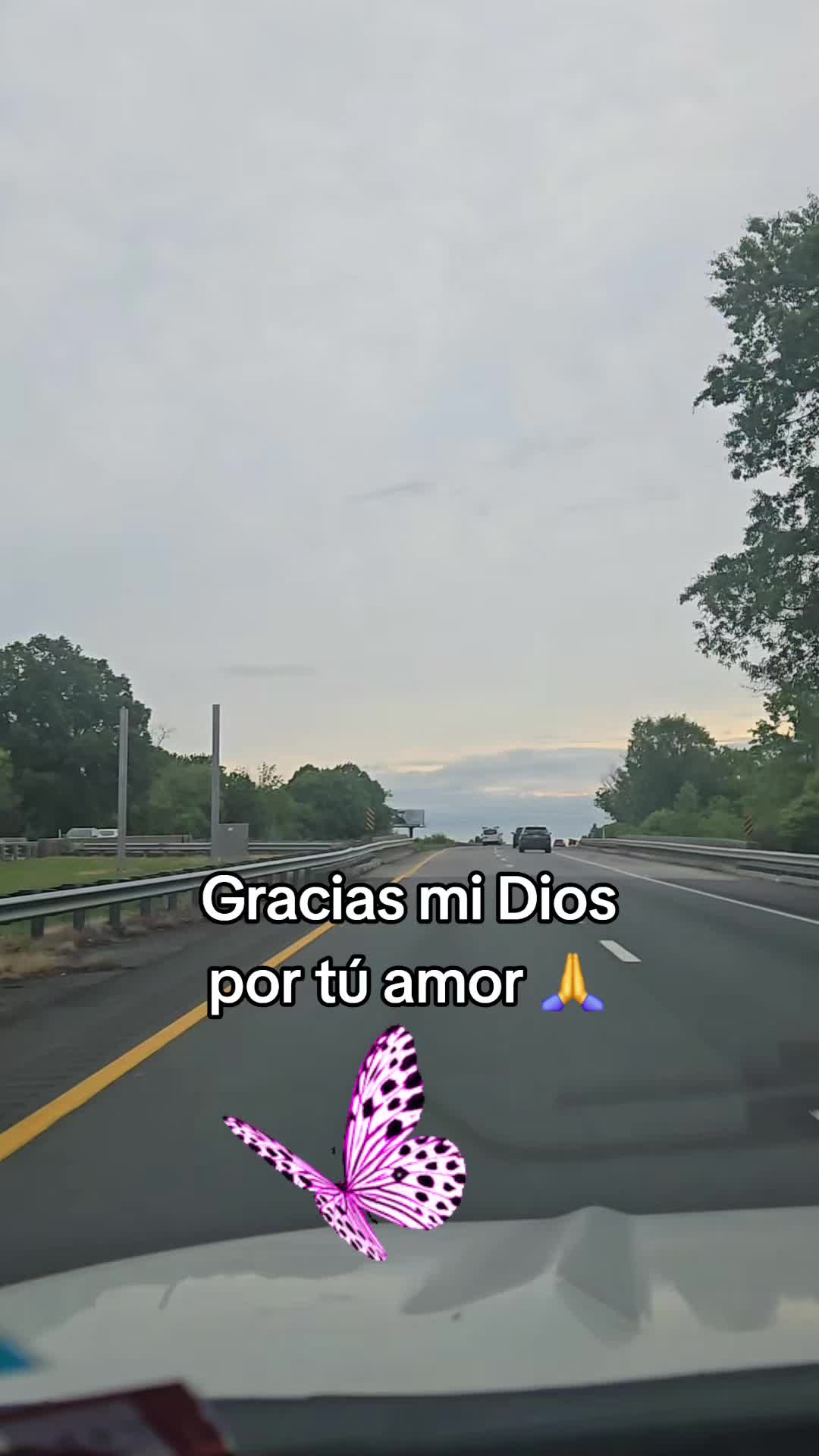 @Anneris