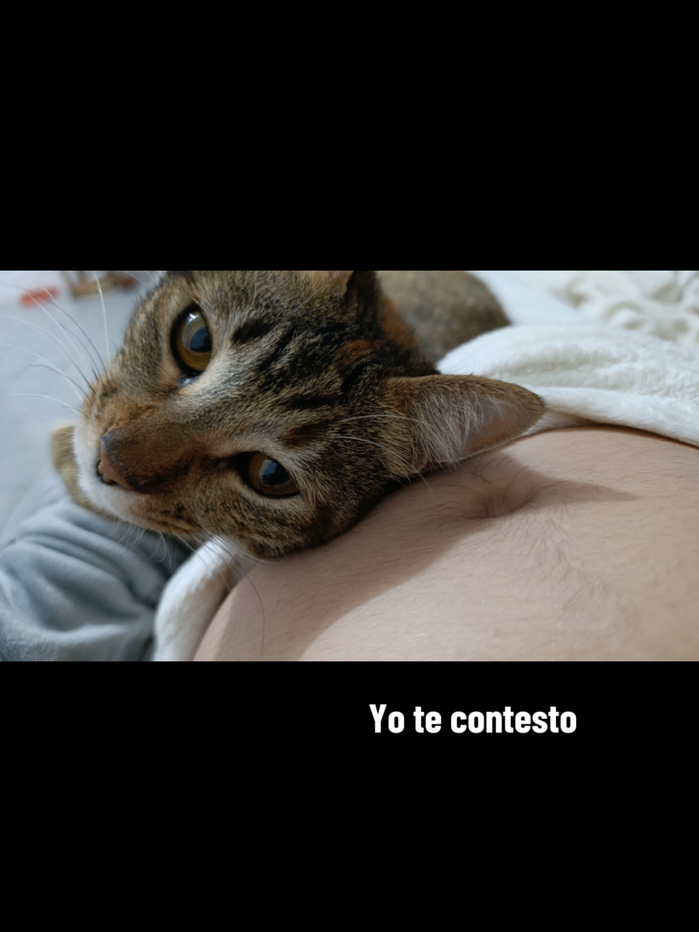 @Abril.Mangano