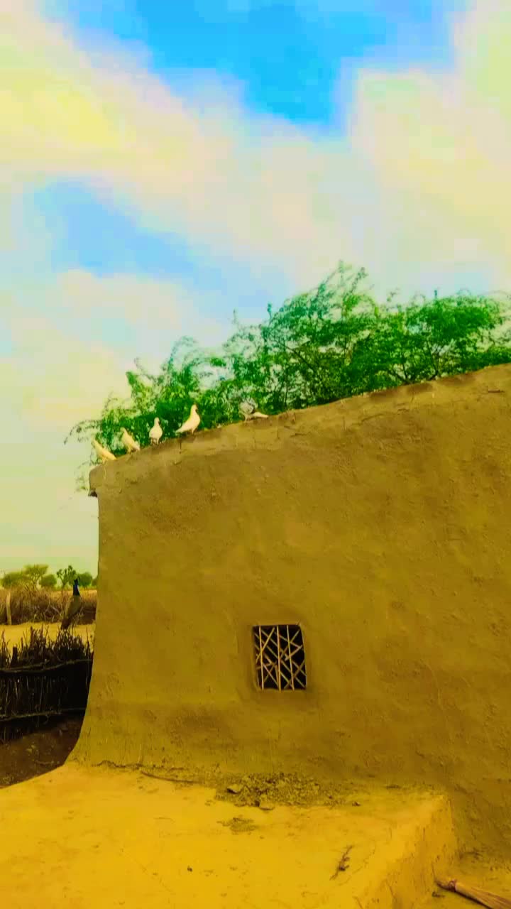 @aijaz solangi
