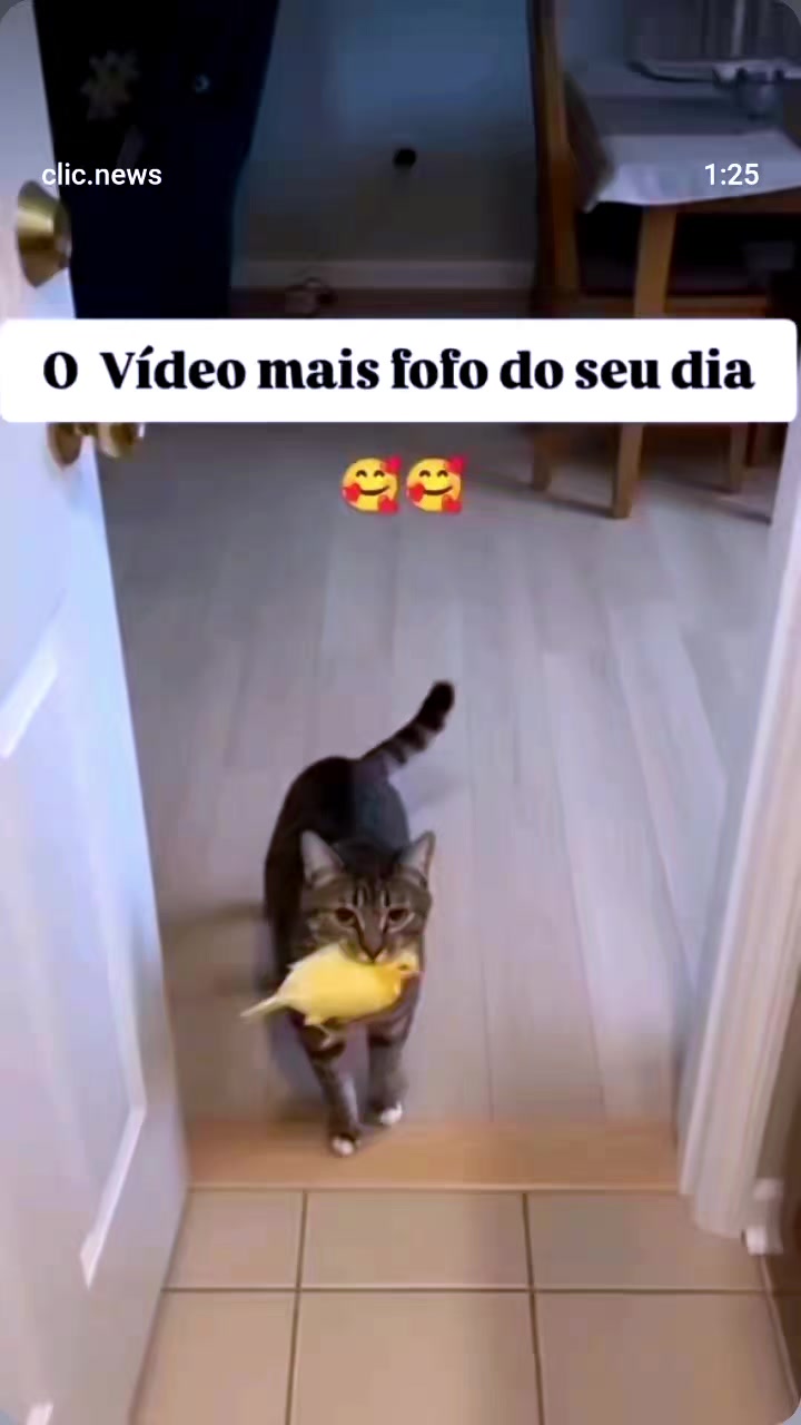 @Cyberpets