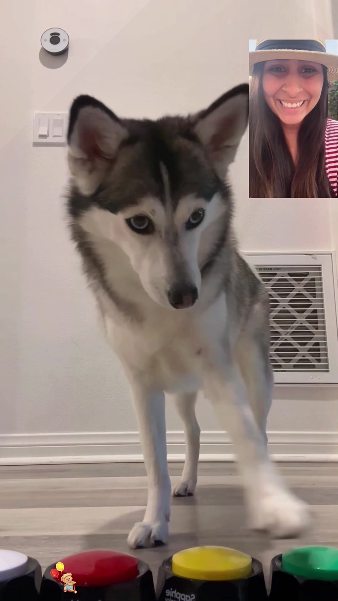 @SneakyFails