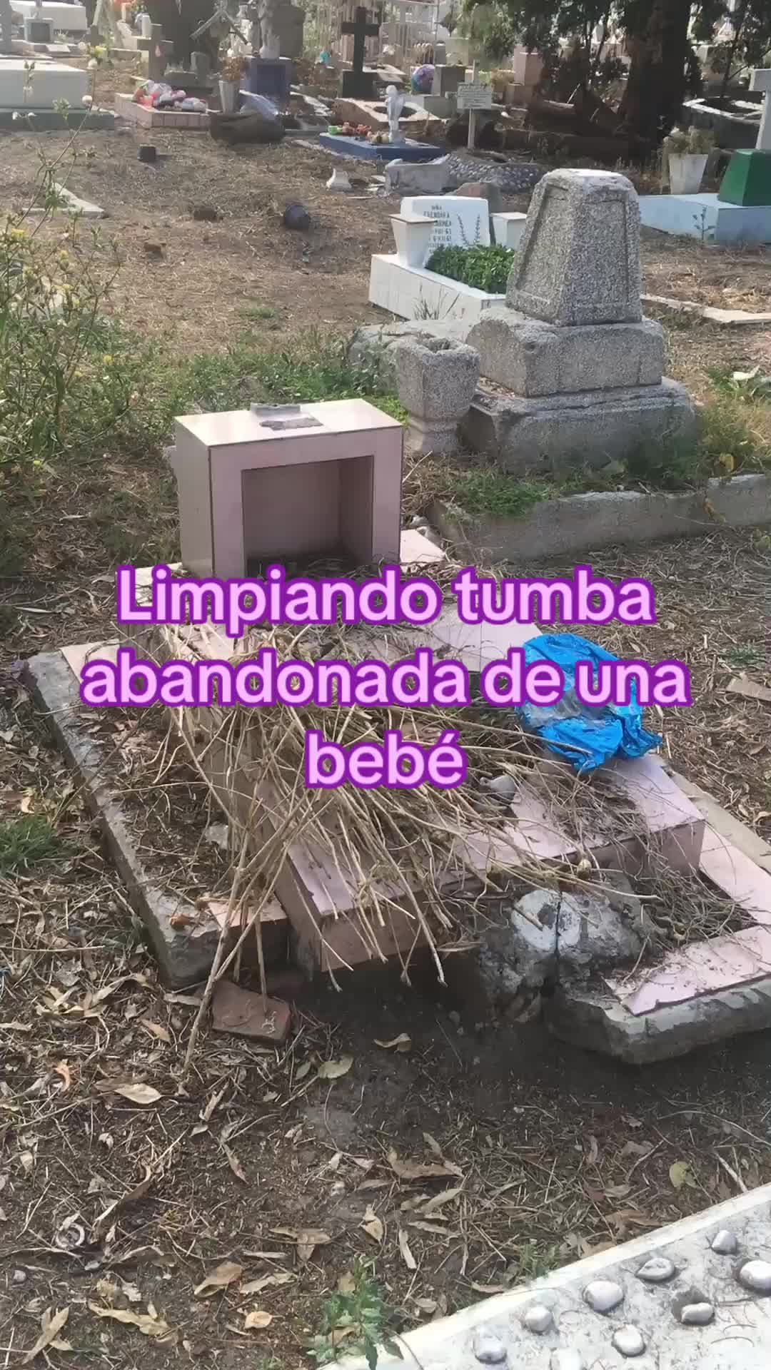 @El limpia tumbas