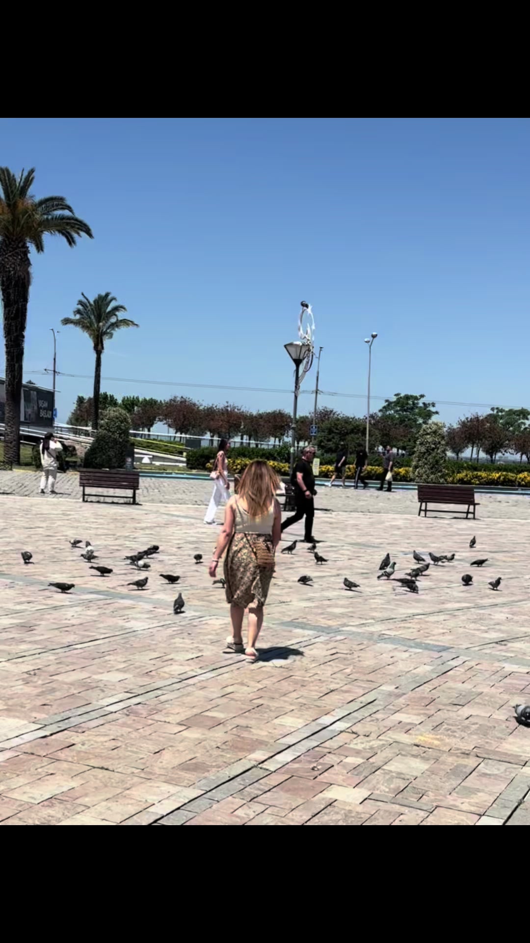 @Nurcanyavuz