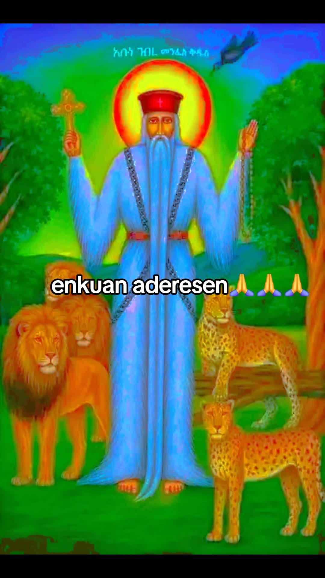 @tariku@