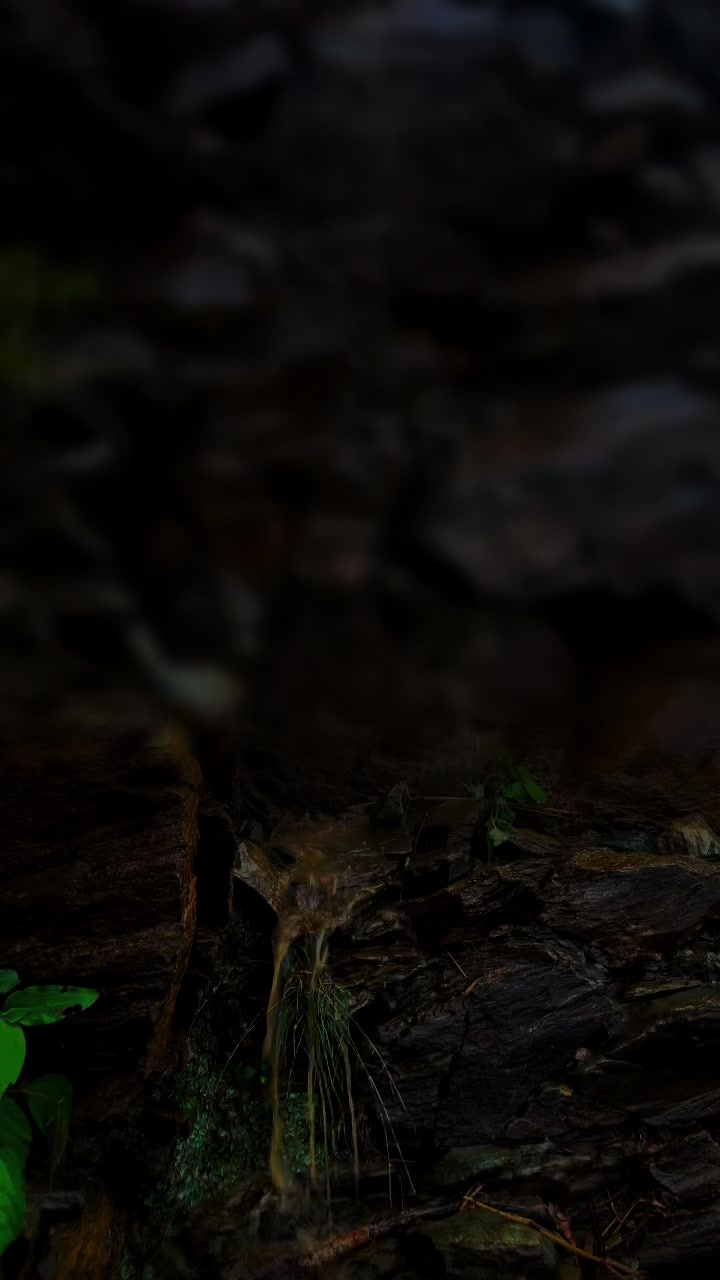 @𝑀𝑂𝐻𝐴𝑀𝑀𝐴𝐷