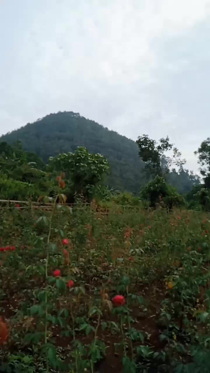 @_Leo13🌹💕🥰
