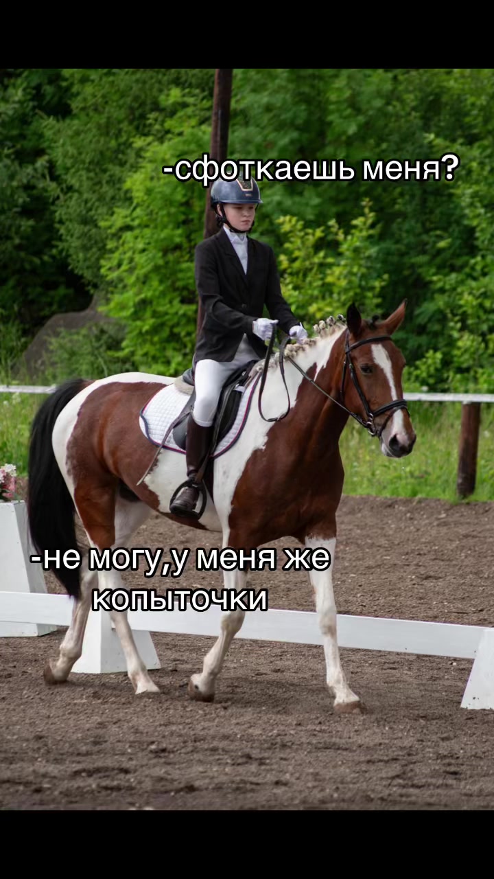 @Ли🐴