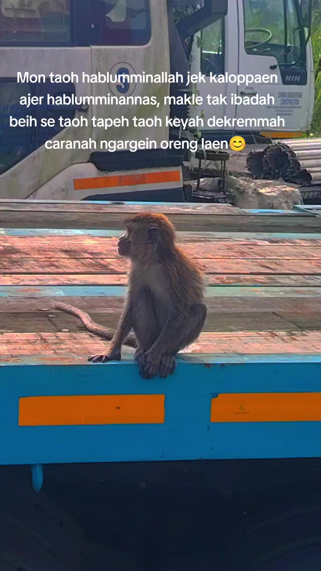 @riszam❤️