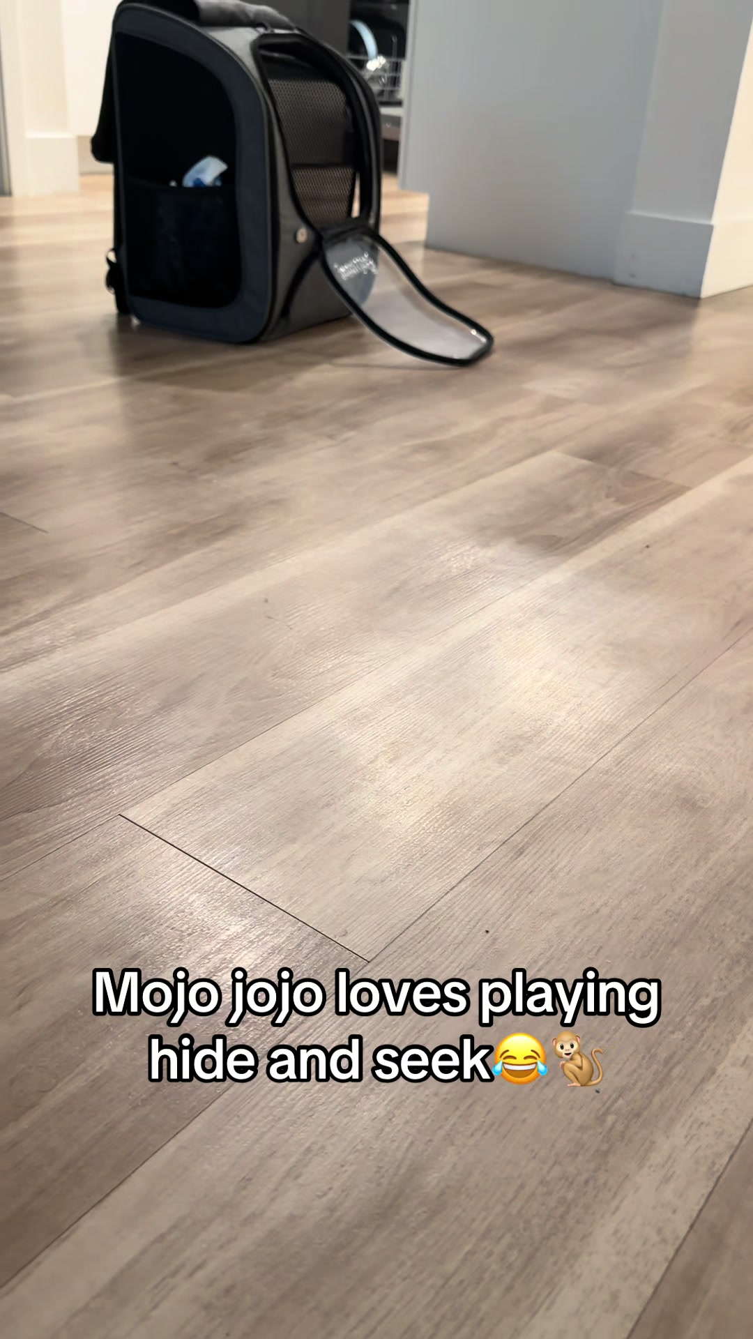 @OJTV & Mojo Jojo🧡