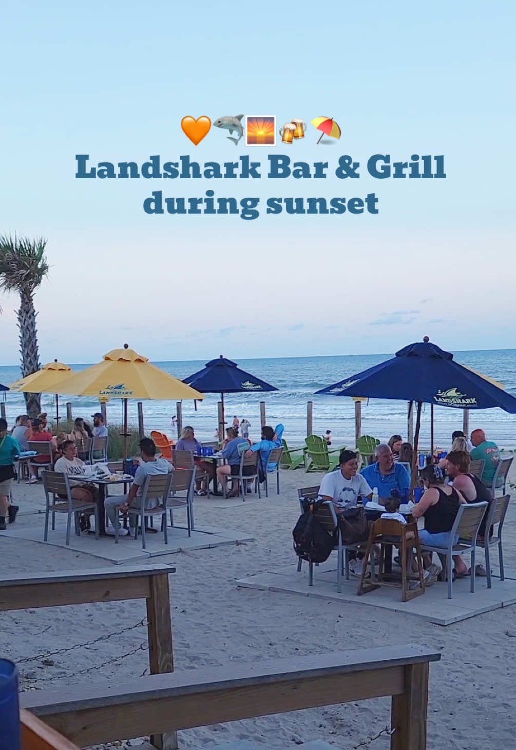 @LandShark Bar & Grill