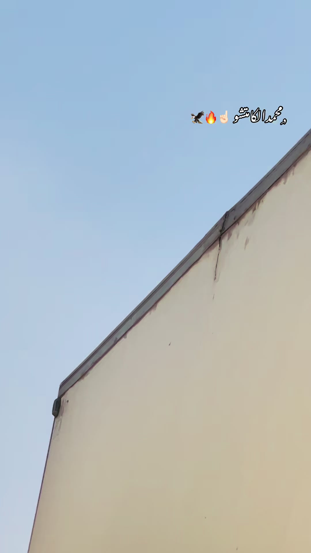 @"محمد"الكامتشو☝🏻🦌🇶🇦