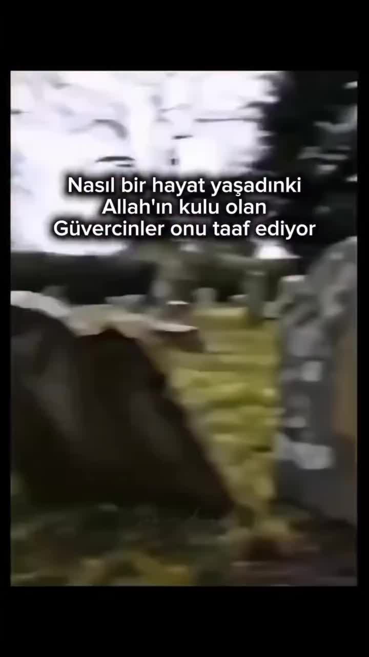 @Erdal 1975İst