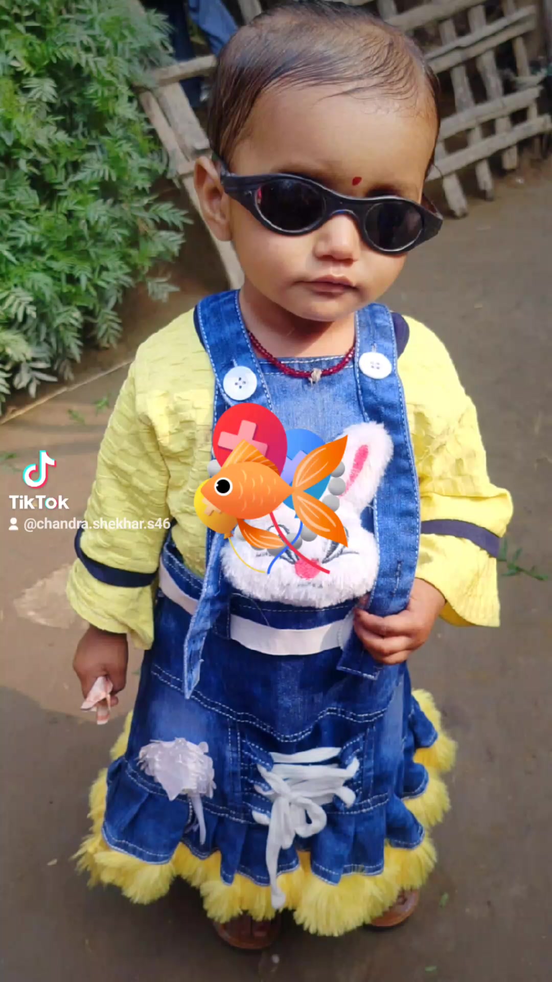 @Chandra shekhar Sahani