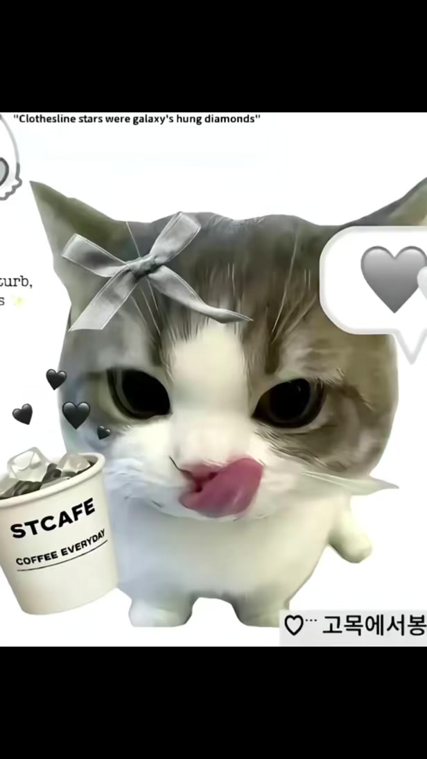 @奶蓋