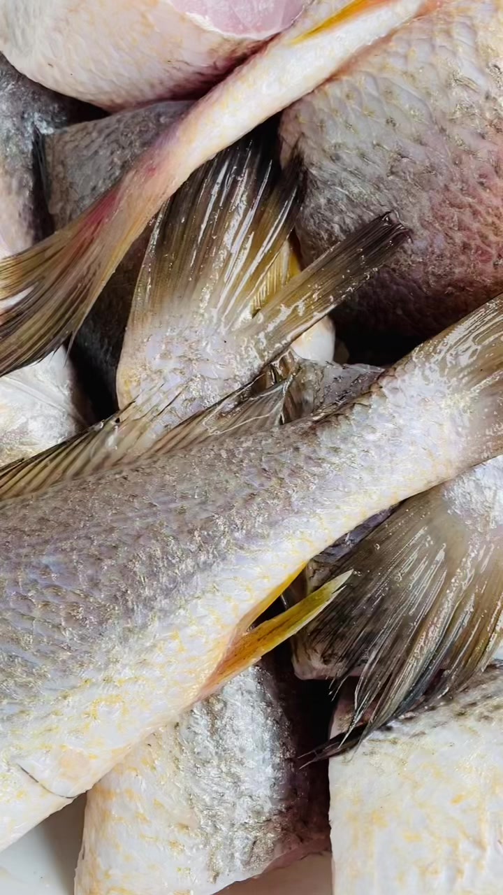 @fabriceessono