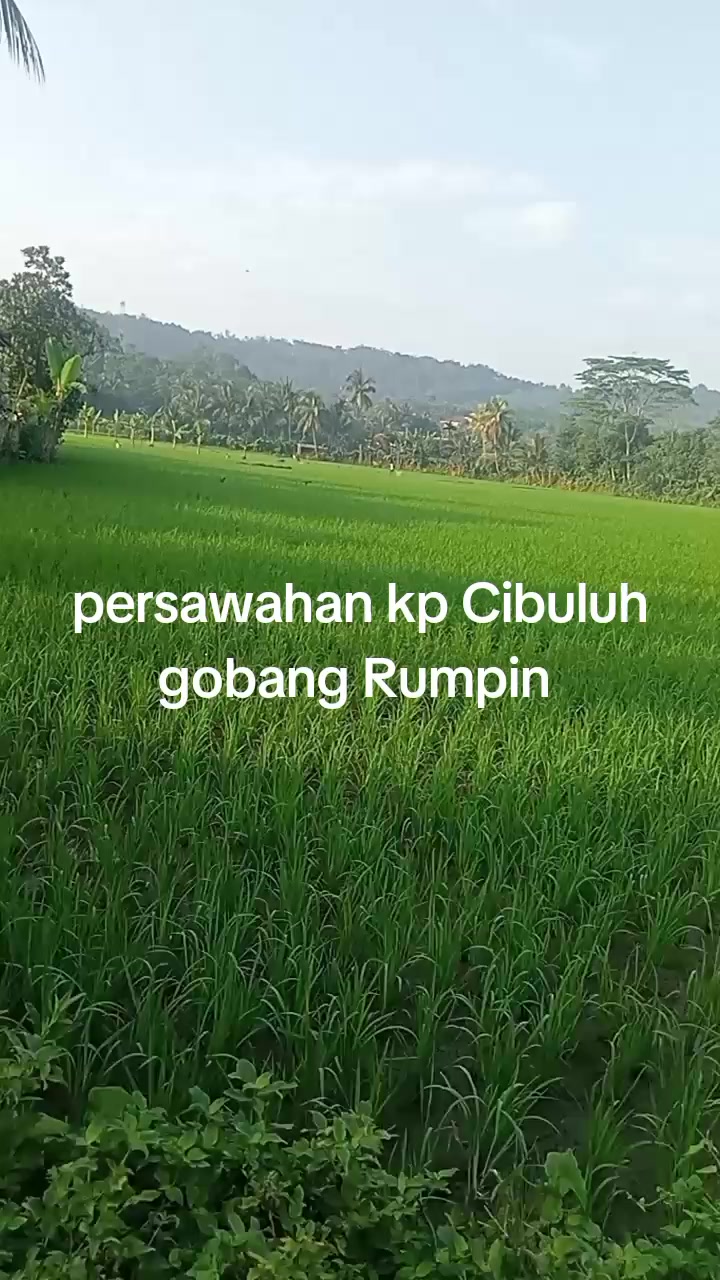@Tatang Wijaya