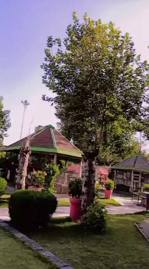 @mianoor