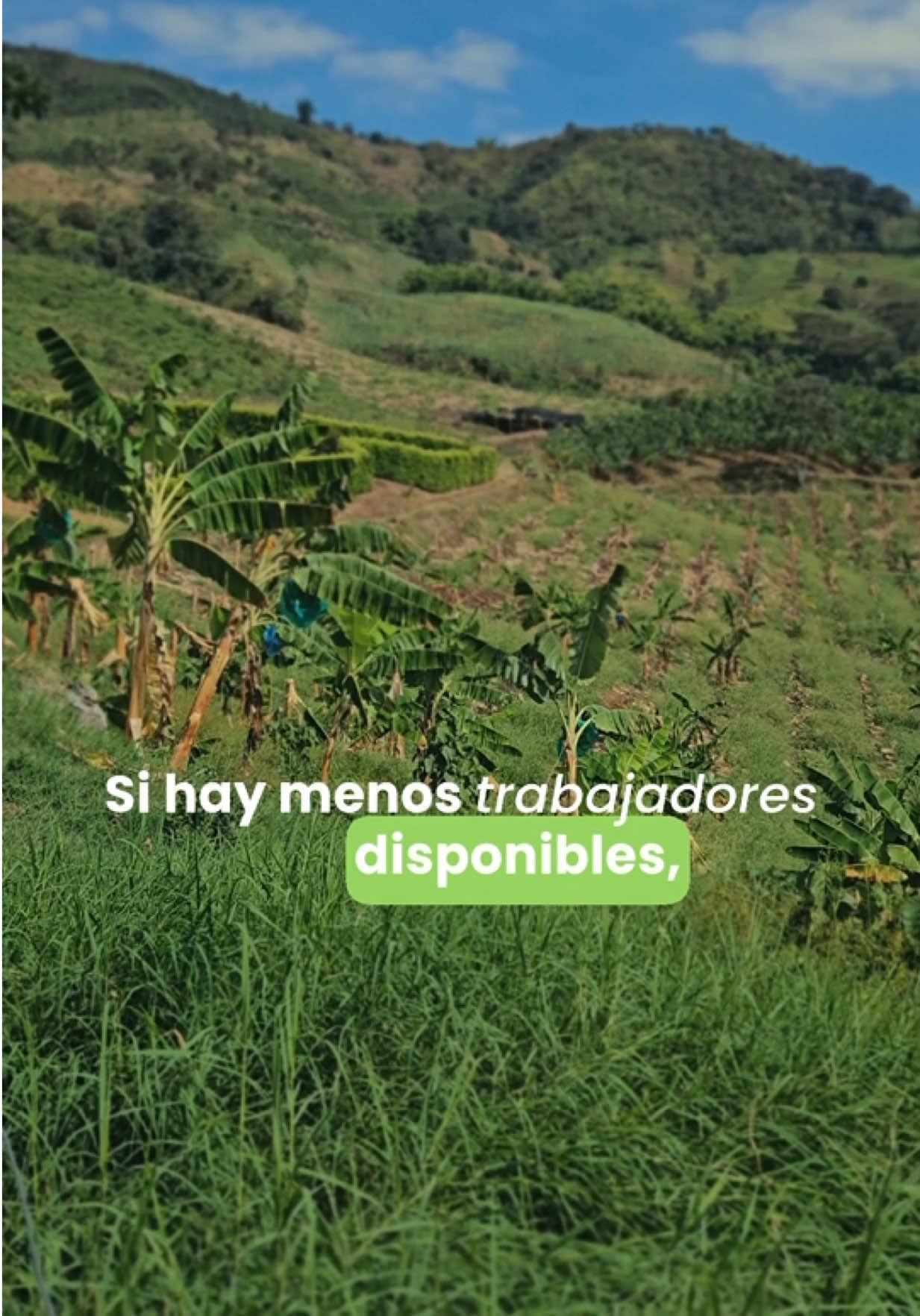 @Montoya Vélez S.A.S