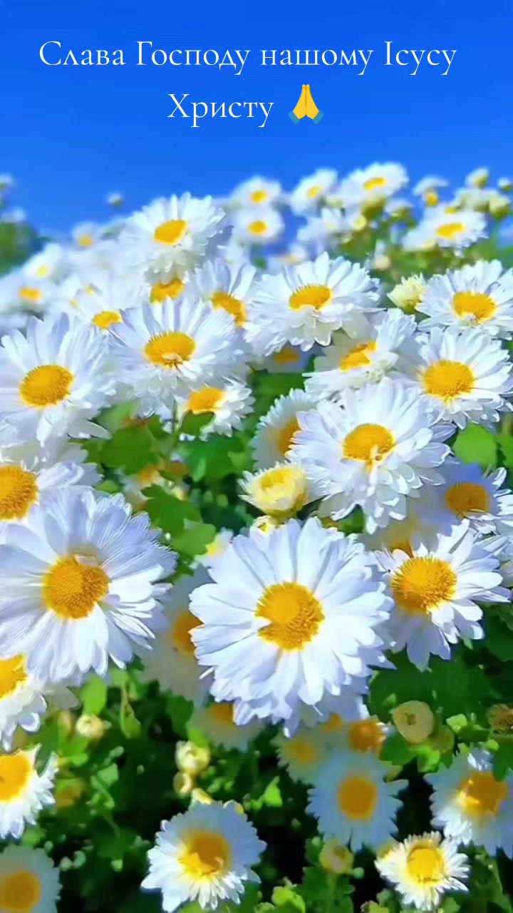 @Оксана🌺❣️
