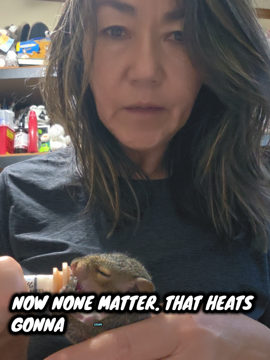 @Little Bit Wildlife Rescue