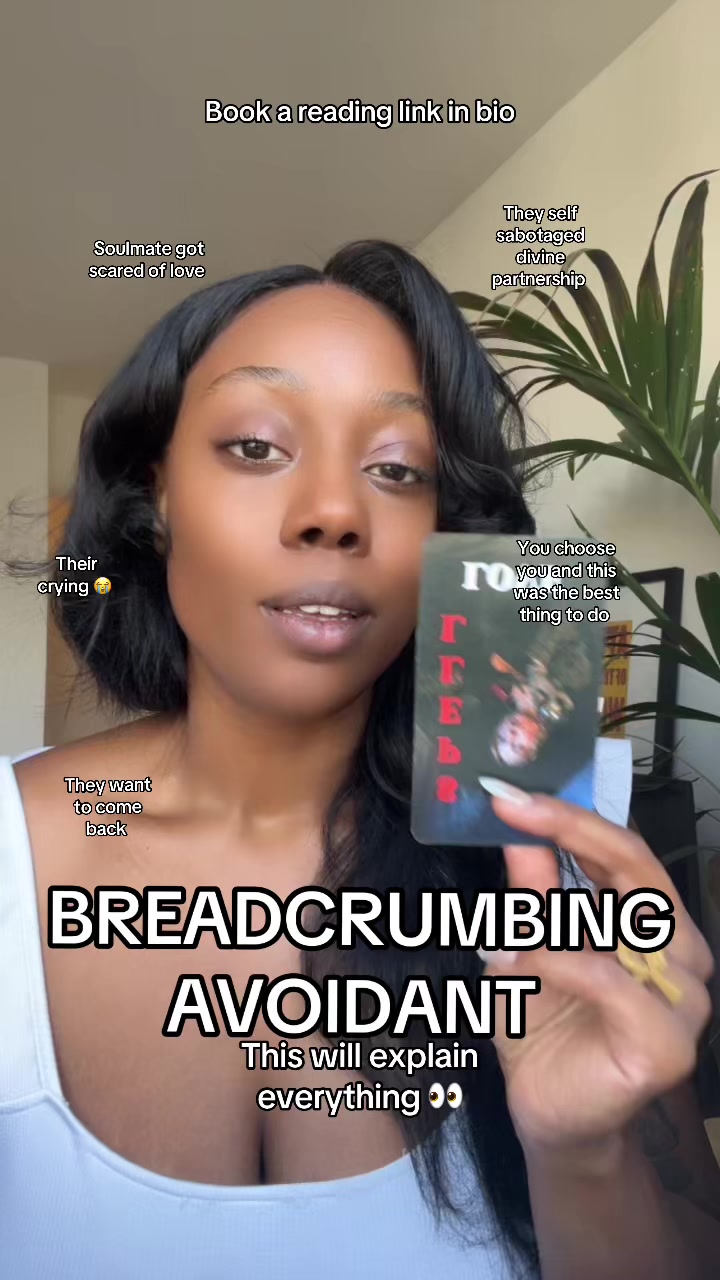 @Shika | HEALER ~ TAROT ~