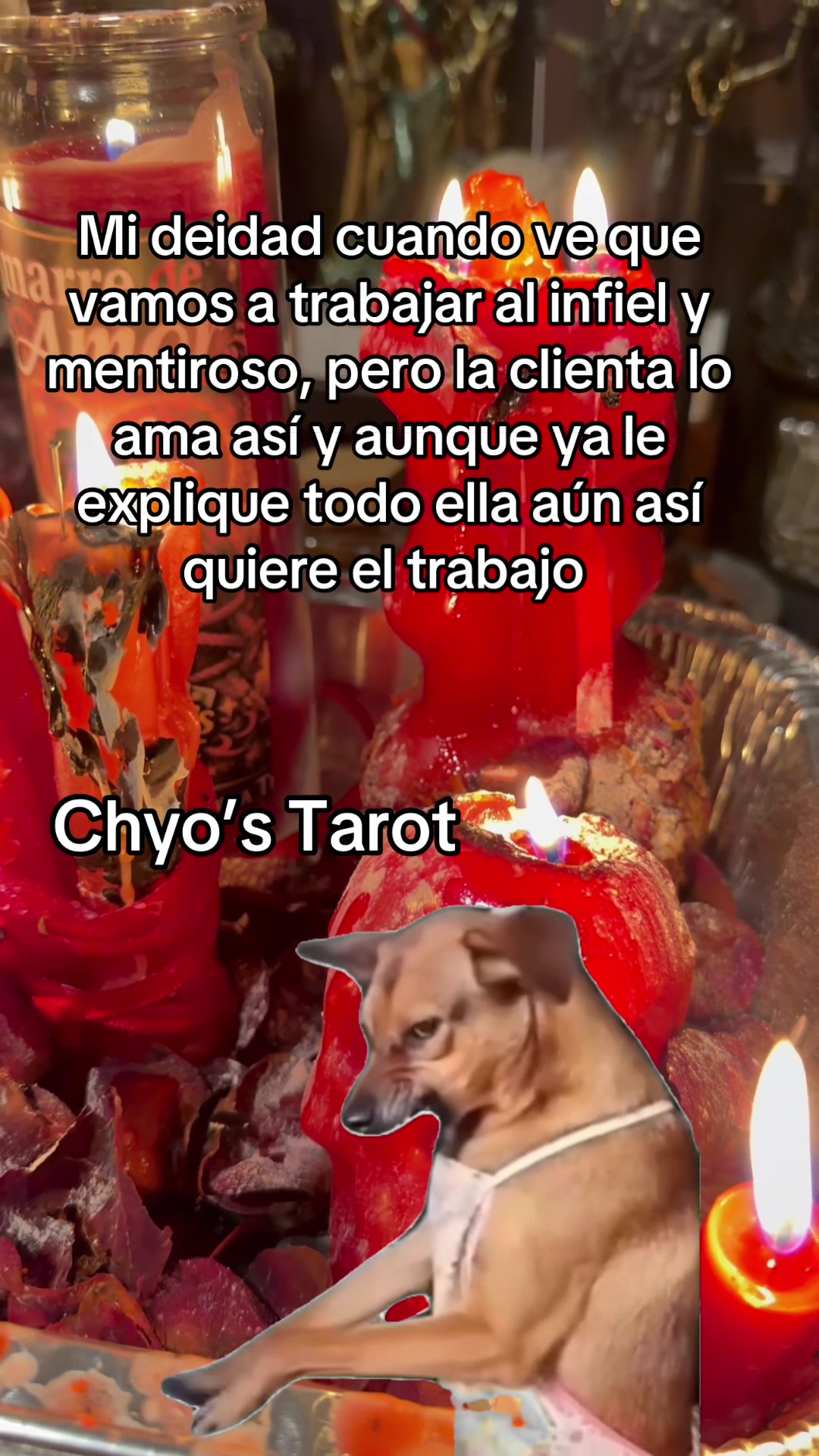 @chyos_tarot