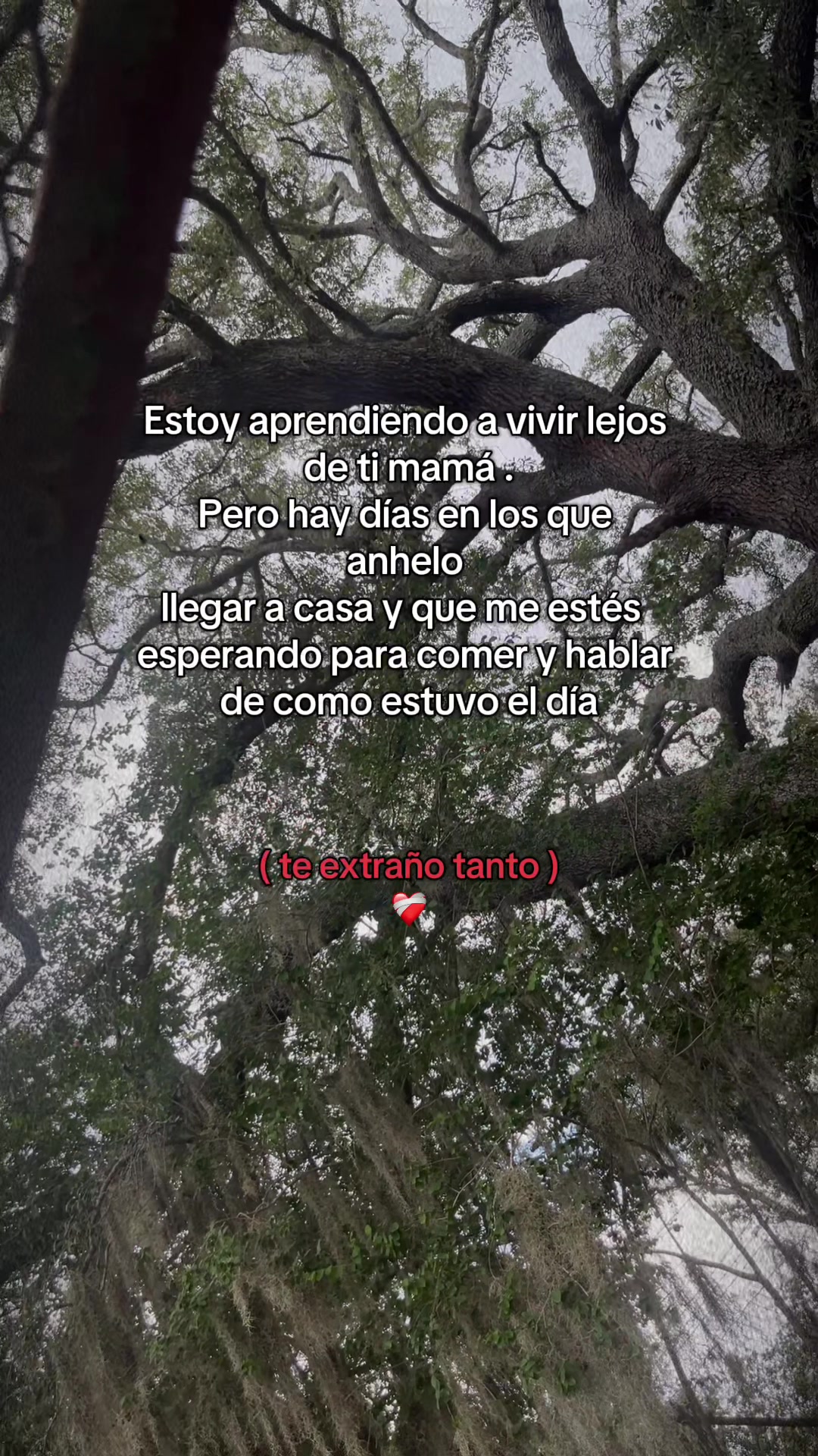 @Aitana🥰