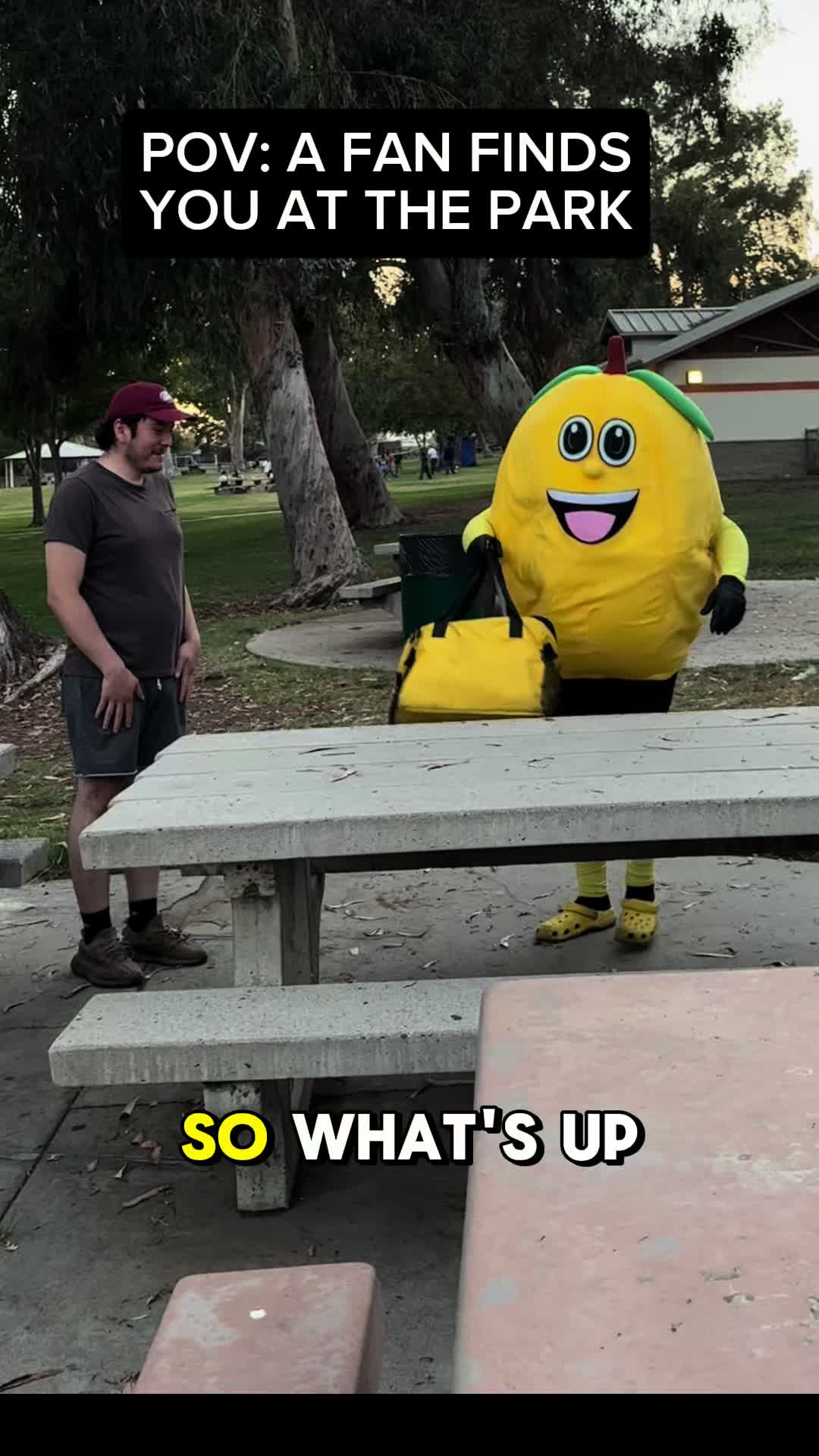 @Sour-Puss
