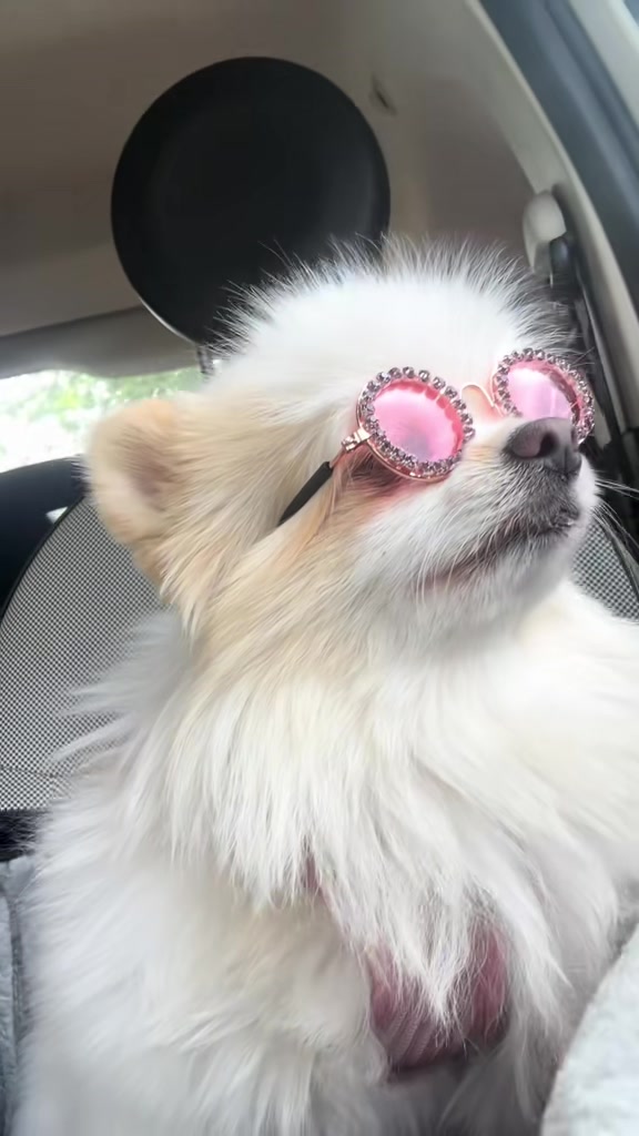 @dieKuschelpuschels🧸✨🩷