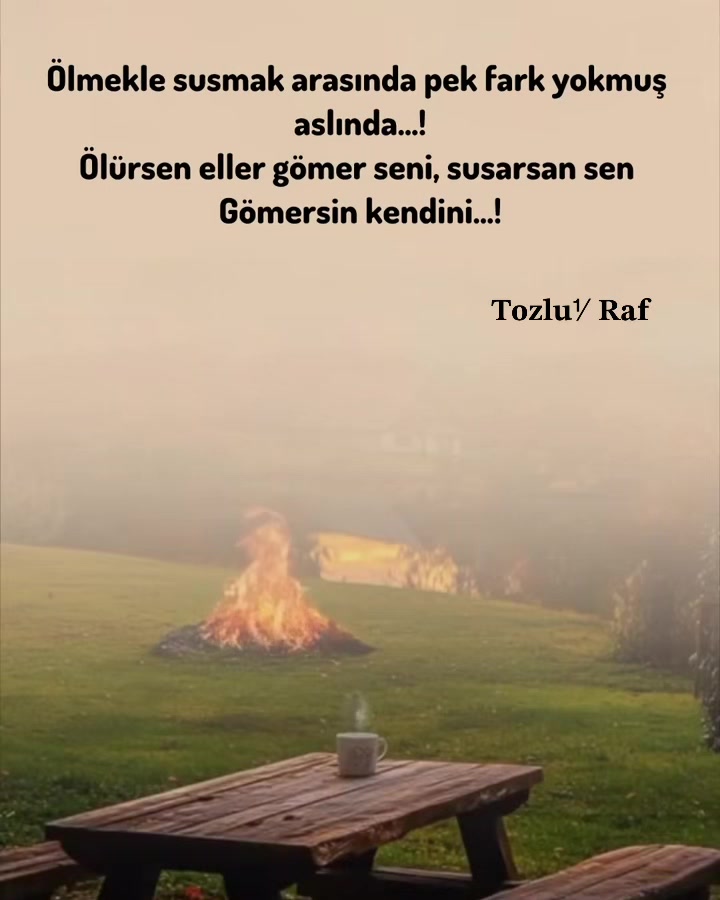 @tozlu1raf_