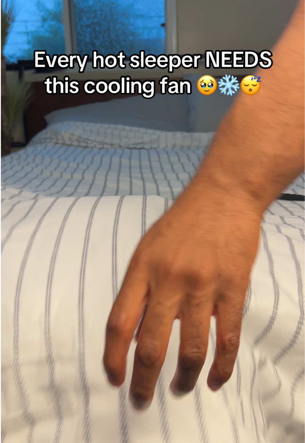 @RoseBloom
