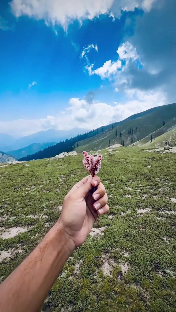 @YAK