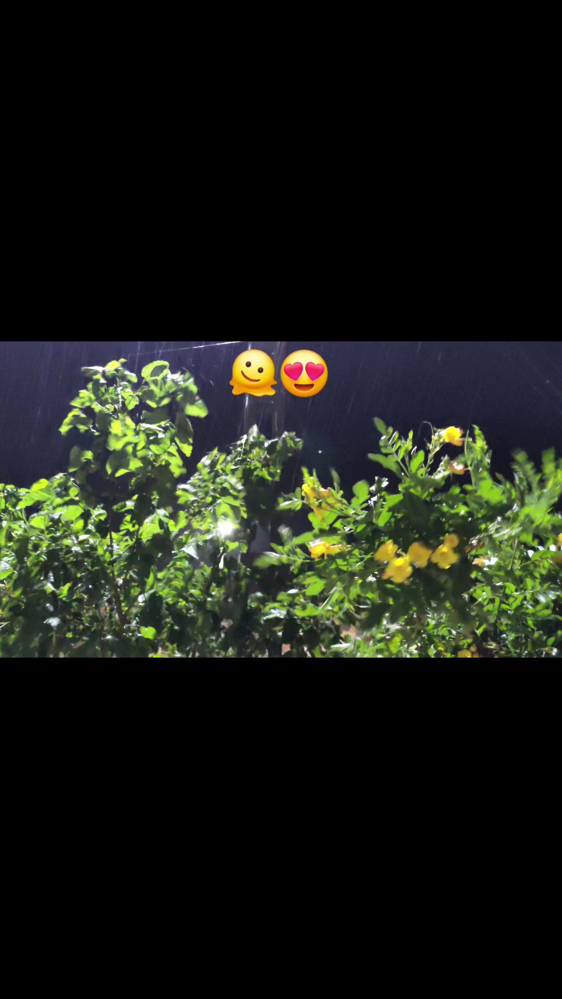 @sweets_ฤลฤ
_๐ซ