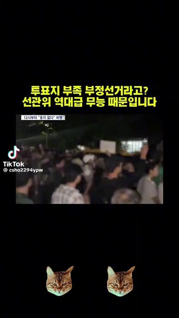 @🌺시라소니[본]🌺