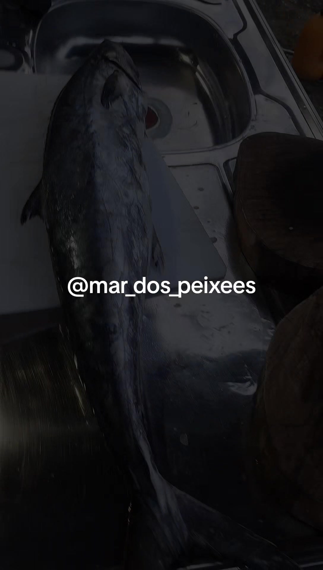 @Diegoalves2313