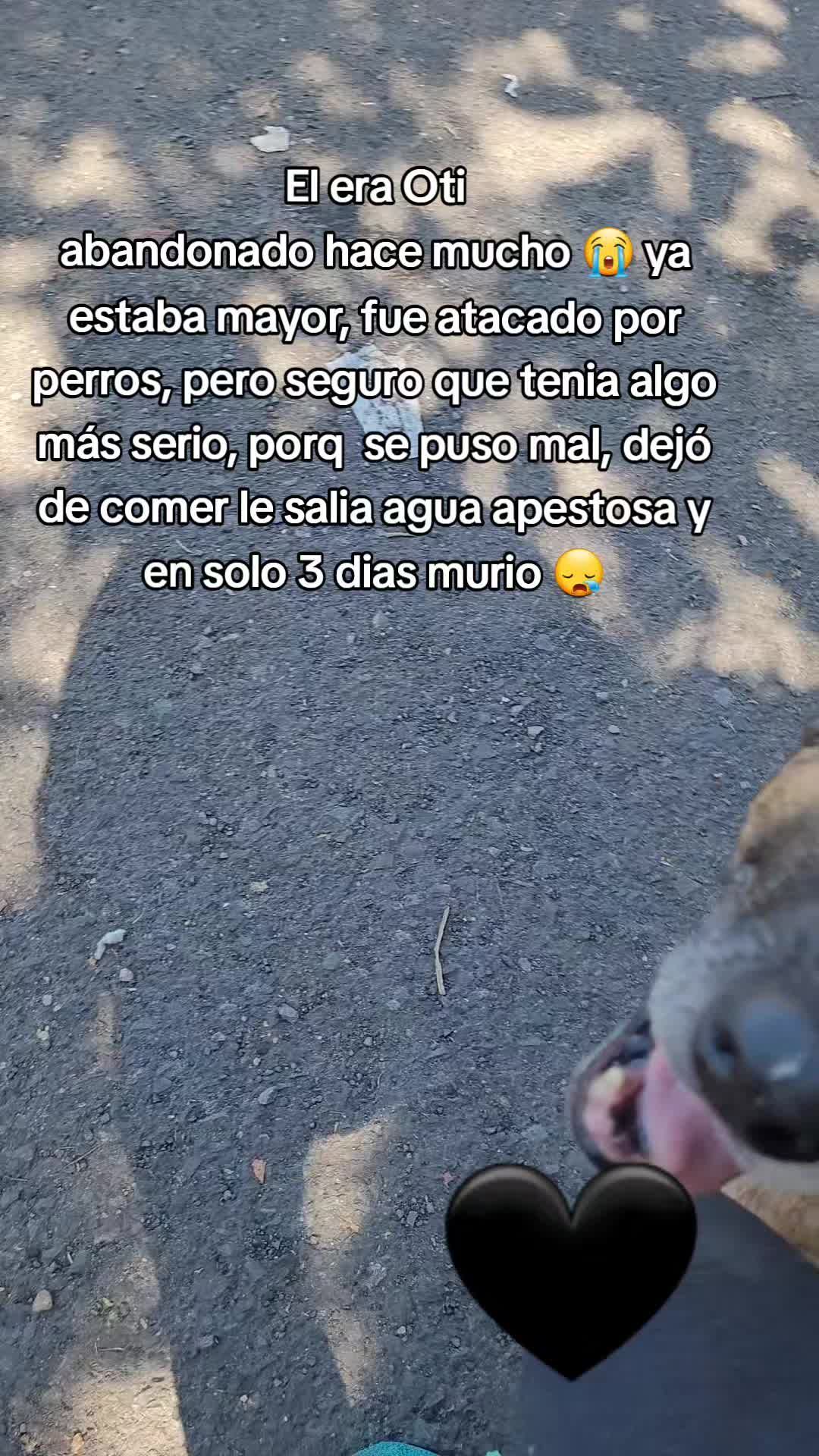 @𝕃𝕚𝕤𝕤 ℝ𝕖yes🇸🇻