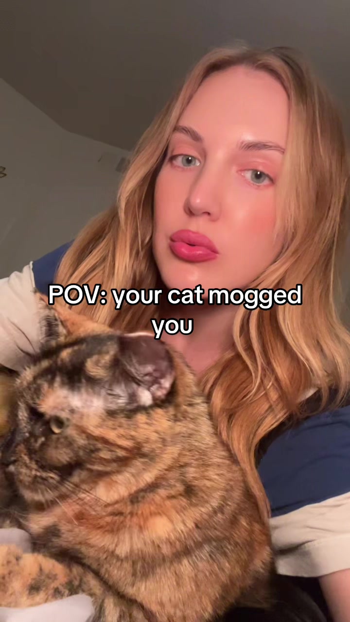 @Bee