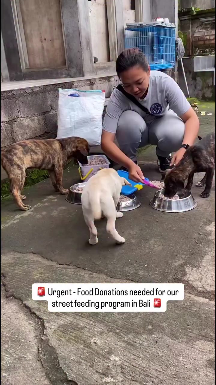 @littlestepsmatter.bali