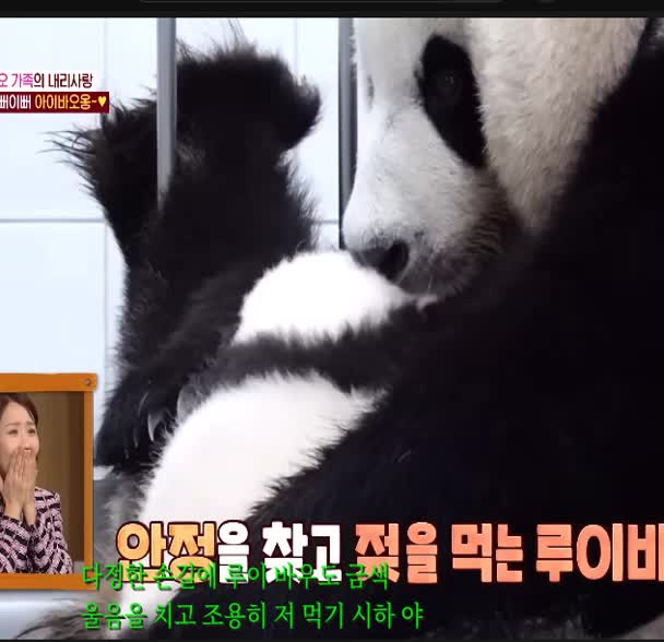 @K-PANDA kim