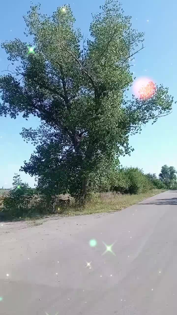 @Галіна