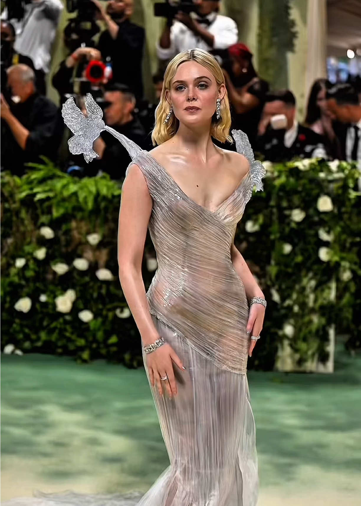 @findtucelebrities