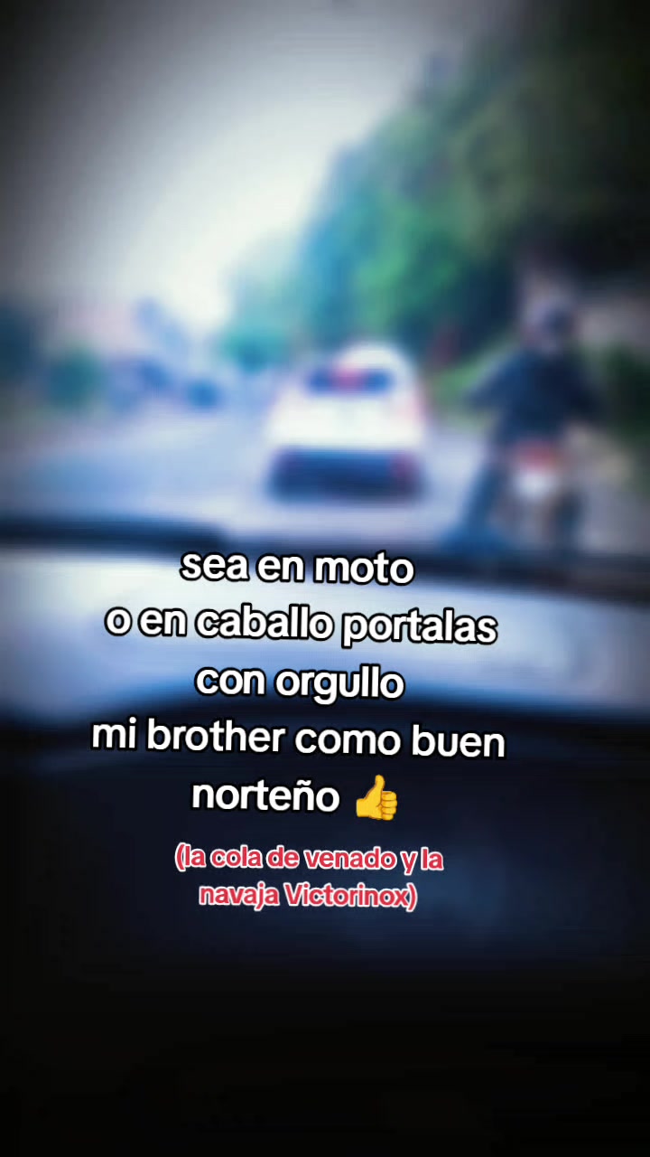 @chica gueguense505