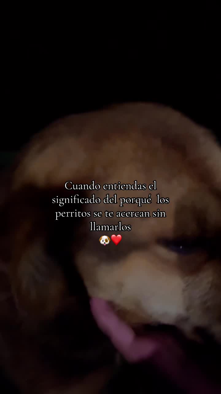@Estefany Cordova