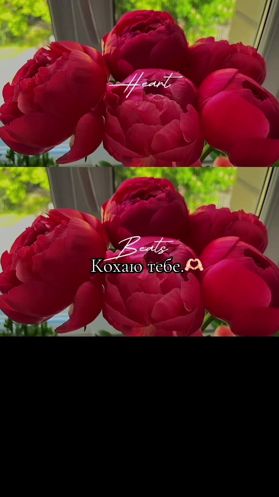 @@Burdina